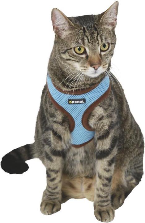 Image du produit Kerbl Harnais pour chat Active (Taille unique, Chat, Général)