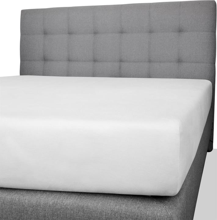 Produktbild Aspero 2 x Spannbettlaken aus Baumwolle (140, 160 x 200 x 25 cm)