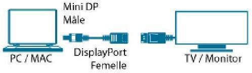 Actual product image MCL MC396-0.15M (0.15 m, DisplayPort)