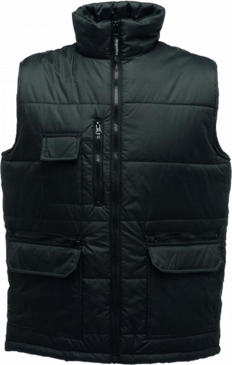 Actual product image Regatta Steller Bodywarmer (M)