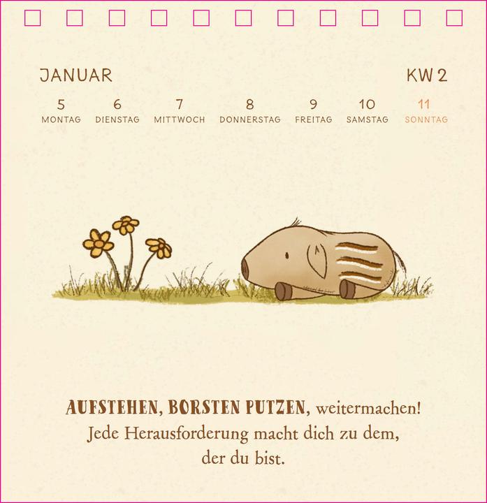 Image du produit Siefert:Mister O'Lui Tischkalender 2026 (Allemand)