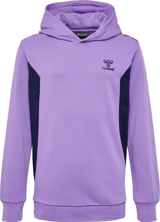 Image du produit hummel Hmlstaltic Cotton Hoodie Kids (164)