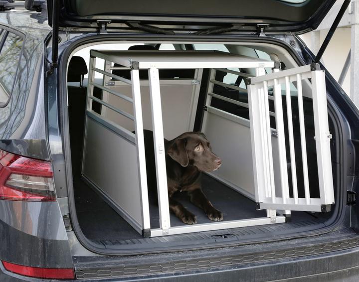 Image du produit Kerbl Caisse de transport en aluminium Barry (Chien, Fermeture de sécurité)
