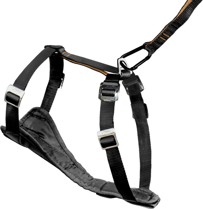 Actual product image Kurgo Tru-Fit-Smart safety harness with belt (S, Dog, General)