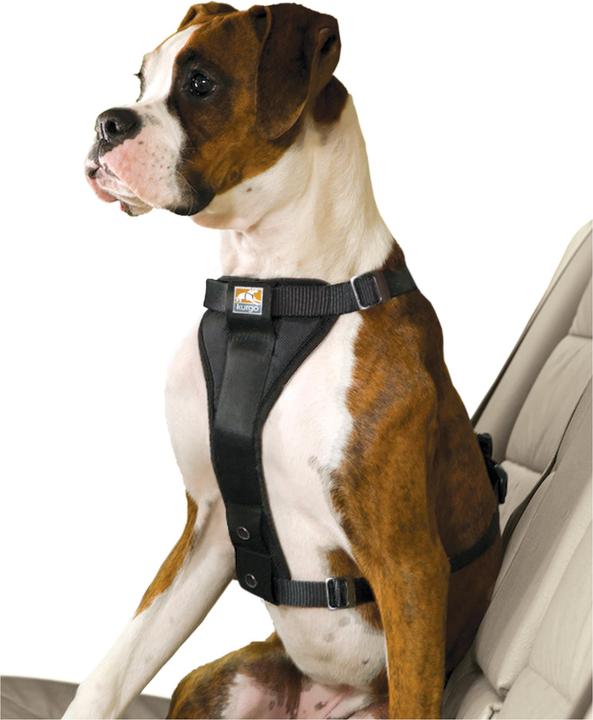 Actual product image Kurgo Tru-Fit-Smart safety harness with belt (S, Dog, General)