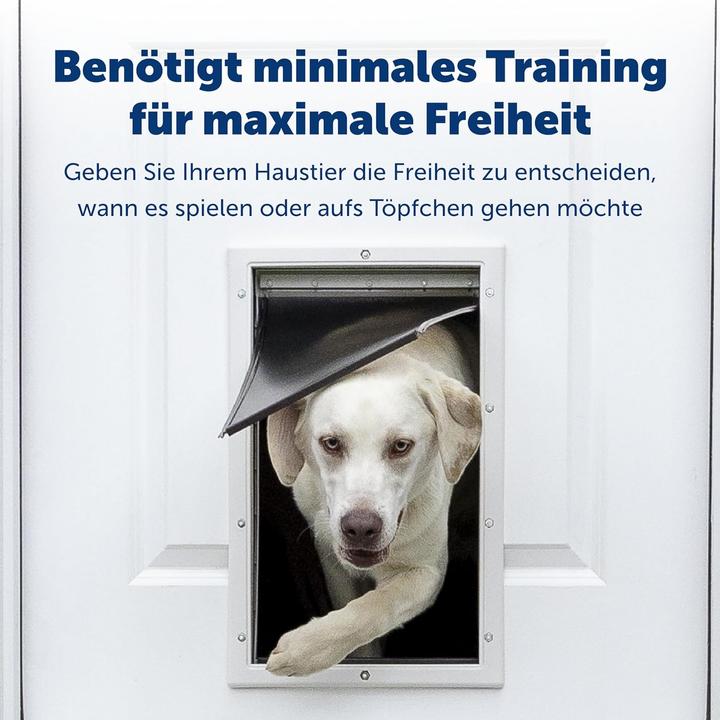 Produktbild PetSafe Hundeklappe ZPA19-17087 (Magnetische Katzenklappe)