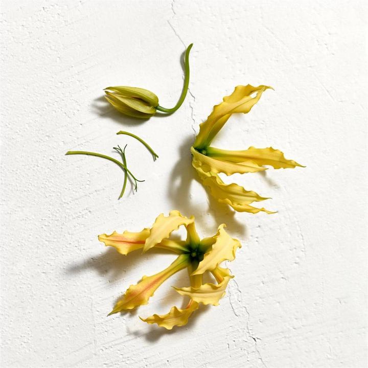 Image du produit Jil Sander Sun (Eau de toilette, 75 ml)