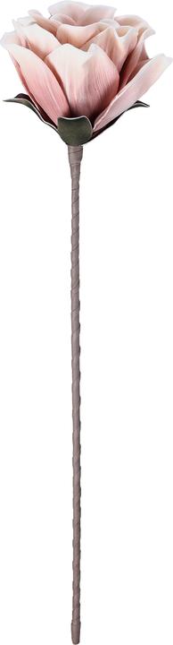Actual product image EGLO LIVING Molave (65 cm)