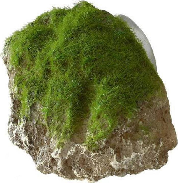 Produktbild Europet Wandstein S 12x9.5x10.5cm (Dekoration, Stein)