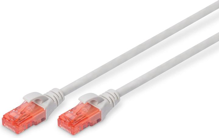 Digitus Câble de réseau