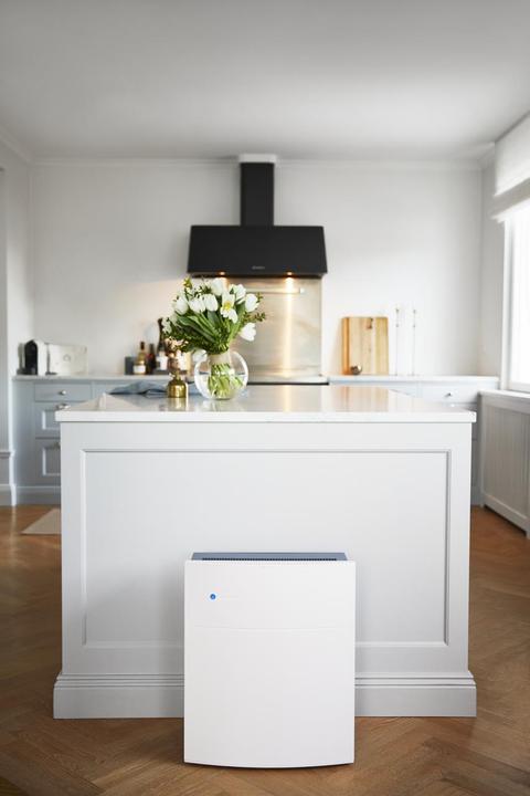 Actual product image Blueair 605 Air Purifier HEPA Particle Filter WiFi (72 m²)