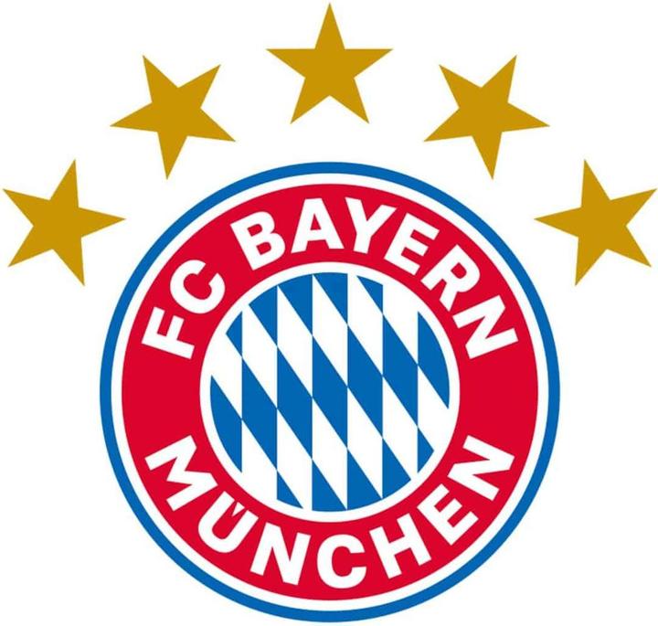 Image du produit FC Bayern München Étoile du Sud (32 x 30 cm)