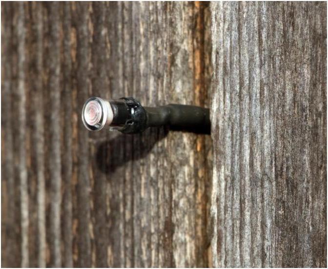 Actual product image Kerbl Light sensor for automatic chicken door