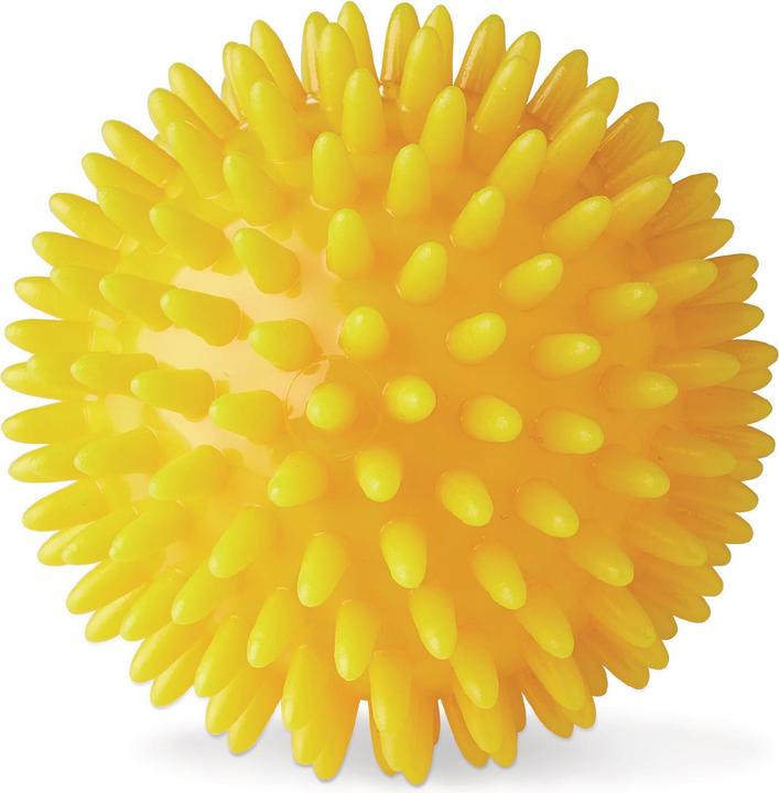 Actual product image Vitility Massageball