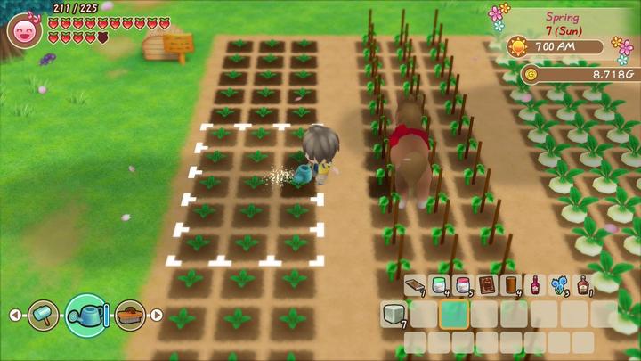 Actual product image Marvelous Story of Seasons : Friends of Mineral Town (Switch, FR)