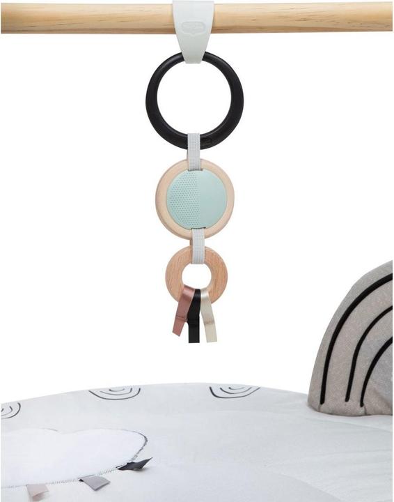 Actual product image Tiny Love Luxe Gymini
