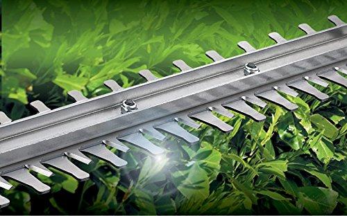 Actual product image Black & Decker Gtc1845l20 (Cordless hedgecutters)