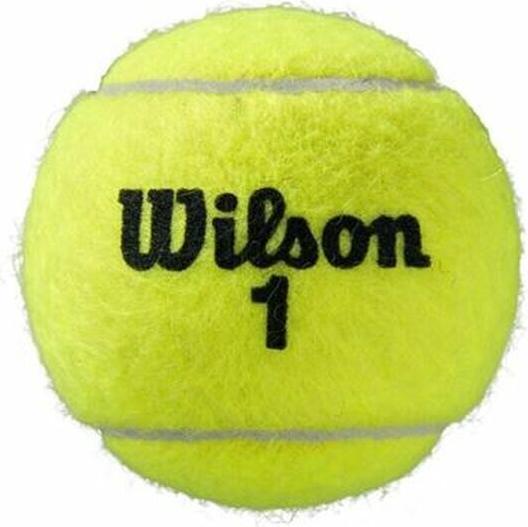 Actual product image Wilson Roland Garros All Ct 3 Ball