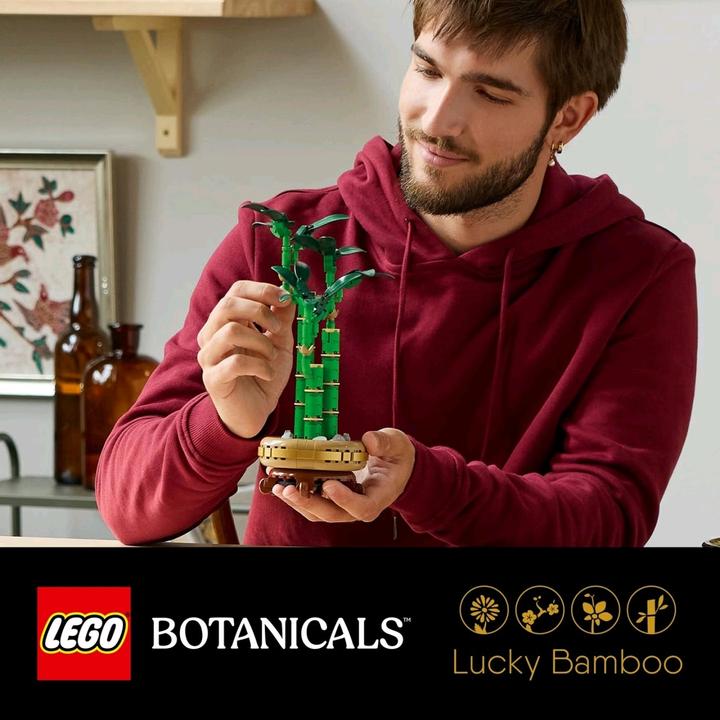 Image du produit LEGO Glücks-Bambus (10344, LEGO Icons)