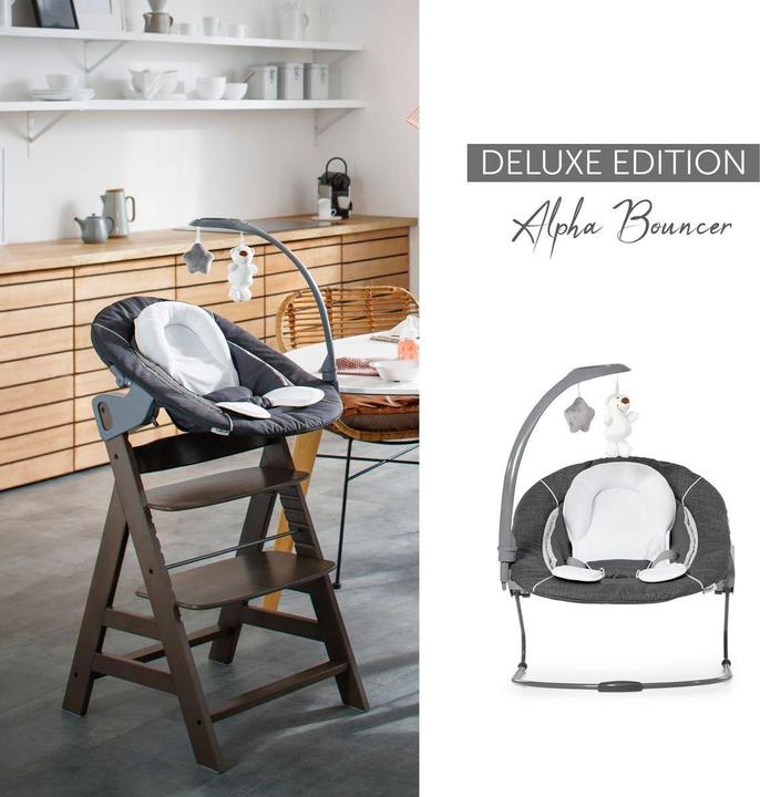 Actual product image Hauck Hochstühle Alpha Plus Black 4-tlg. Newborn Set Deluxe (Highchair)