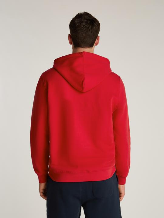 Produktbild Tommy Jeans Tjm Reg Linear Logo Hoodie Ext (XL)