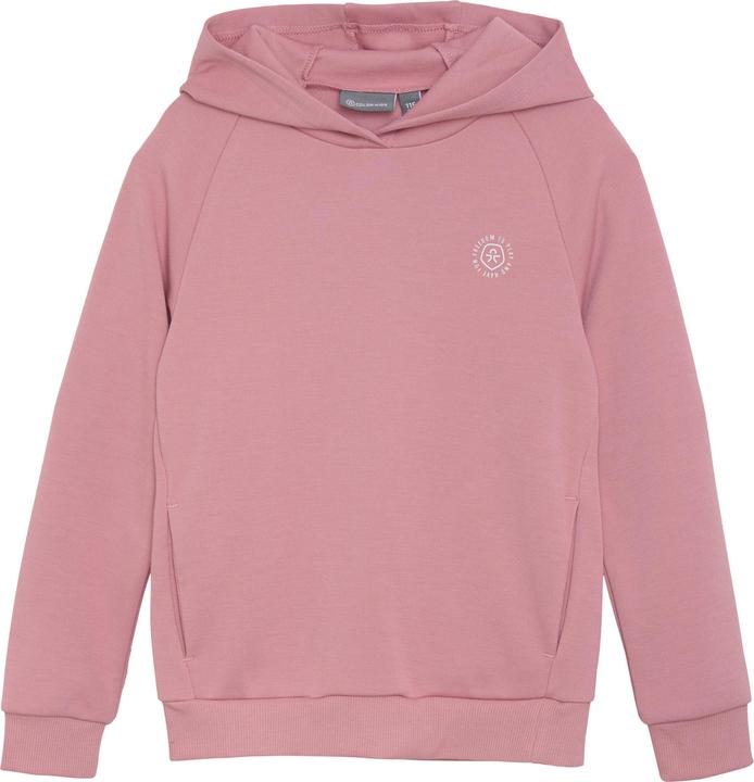 Color Kids COSweat Hoodie - Solid 741400