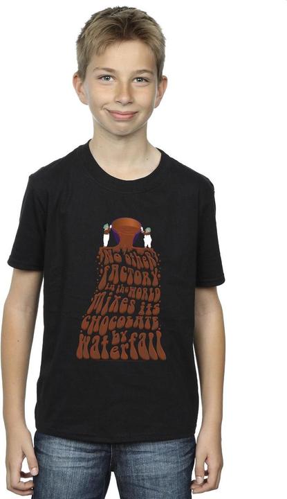 Actual product image Willy Wonka & the Chocolate Factory Boys Chocolate Waterfall T-Shirt (152, 158)
