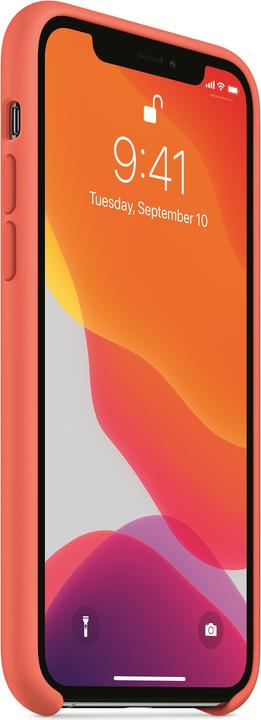 Actual product image Apple Silicone Case (Apple iPhone 11 Pro)