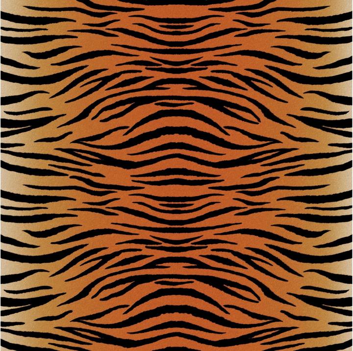 Image du produit Cricut Film thermocollant Encre Infusible Leopard 30.5 x 30.5 cm, 4 pièces