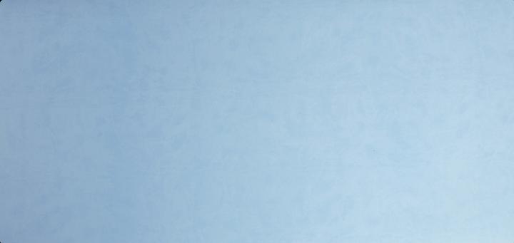 Produktbild Exacompta BEEBLUE - Schreibunterlage (40 x 80 cm)