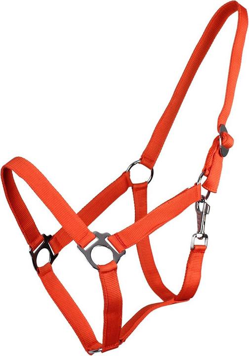 Qhp Nylonhalfter mit Schiebeschnalle