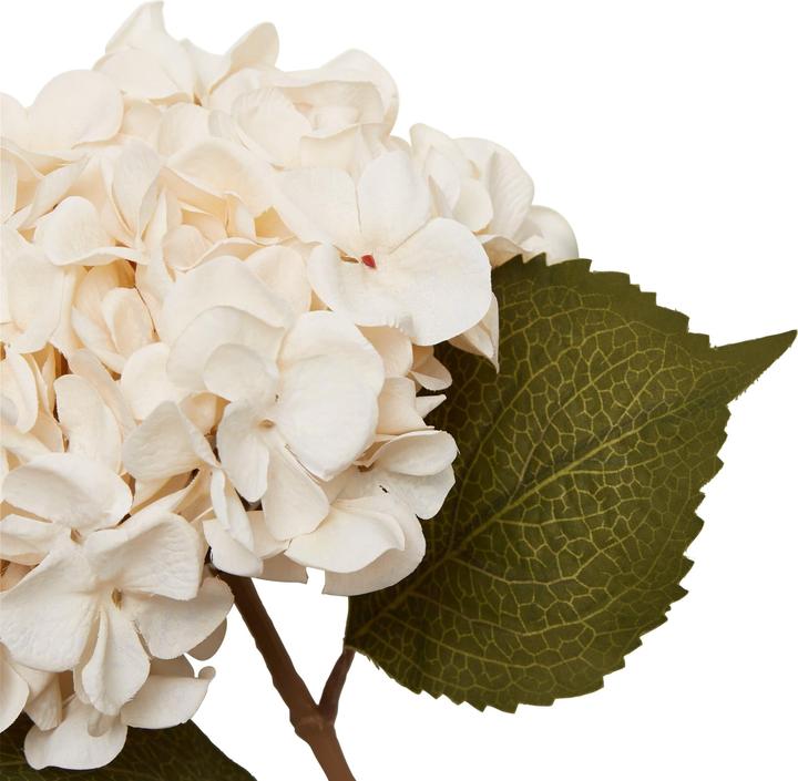 Produktbild micasa Hortensie (65 cm)