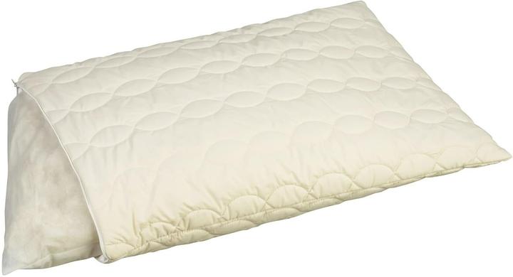 Image du produit Billerbeck Klassisches Kopfkissen Helvetic Wool Pillow 50 x 70 (50 x 70 cm)