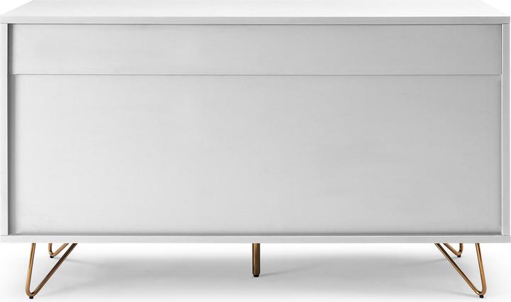 Image du produit SalesFever Charlie (120 x 40 x 70 cm)