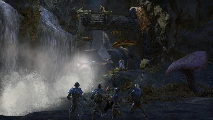 Actual product image Bethesda Elder Scrolls Online (incl. Morrowind) (PS4)
