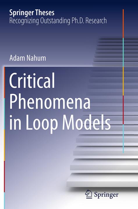 Actual product image Critical Phenomena in Loop Models (Adam Nahum, 2016)