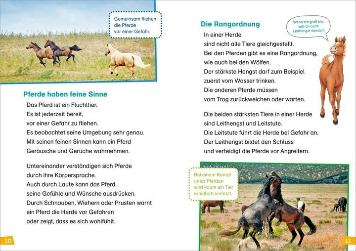 Actual product image Tessloff WAS IST WAS Erstes Lesen Band 7. Pferde und Ponys (German, Christina Brown, Annelie Stenzel, 2019)