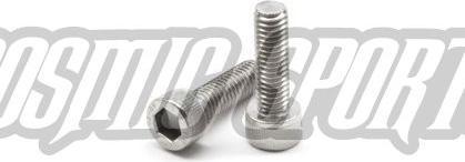Paul Component Engineering Paul Component Brake Bolt, pair, silver (Brake kit)