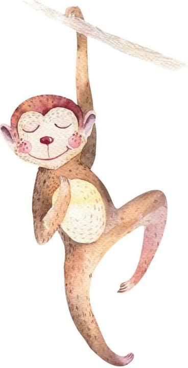 Immagine prodotto Trenddeko Scimmia appesa (41 x 80 cm)