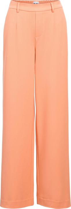 Object OBJLISA Hose (44)
