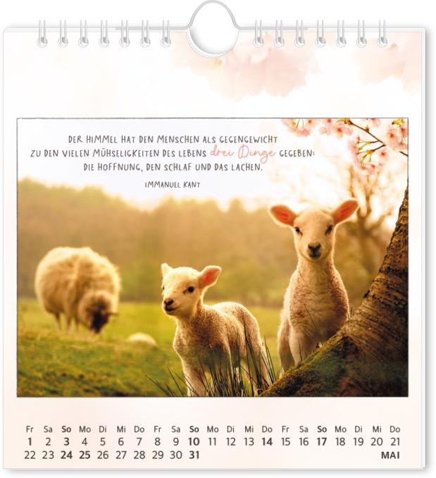 Produktbild Postkartenkalender 2026 Traumtage (16 x 17 cm, Deutsch)