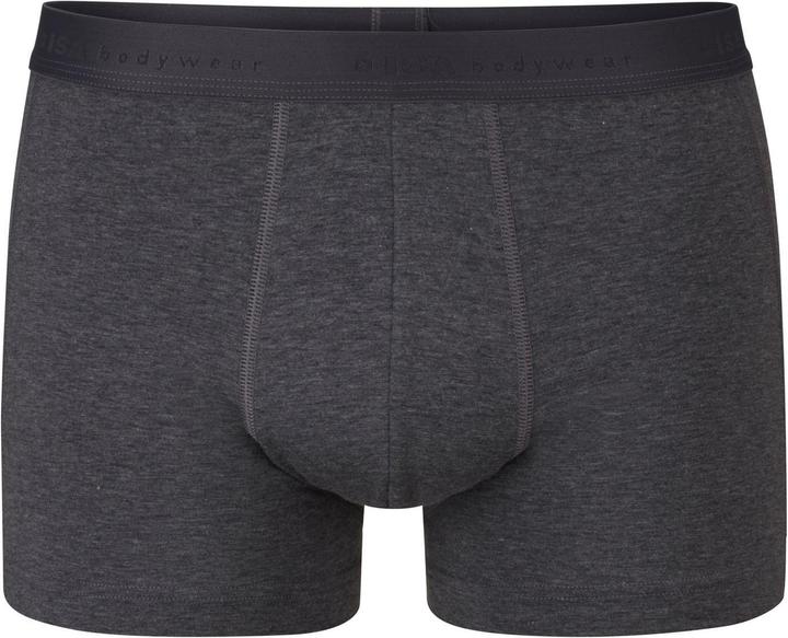 ISA Bodywear Panty