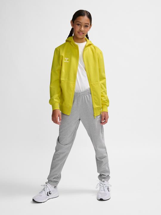 Image du produit hummel Hmlgo 2.0 Hoodie Zip Kids (116)