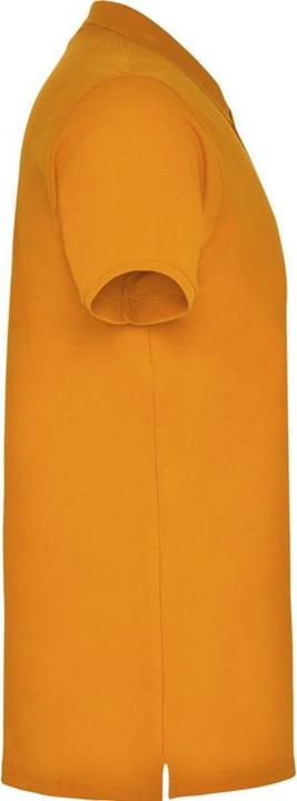 Actual product image Alpinia Mens Star Short-Sleeved Polo Shirt (XXL)