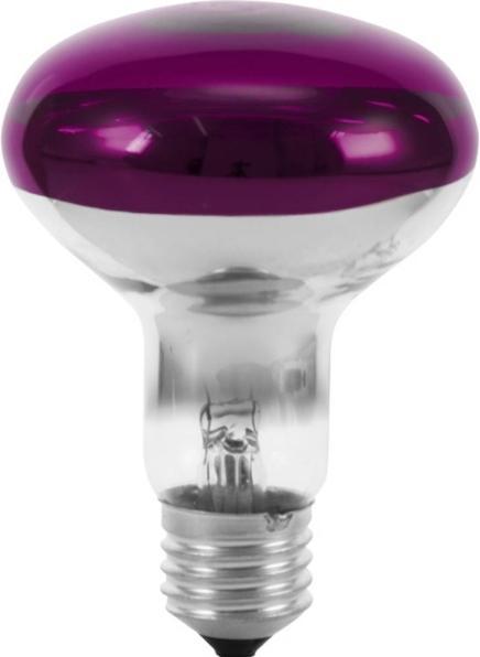 Omnilux R80 230V/60W E-27 violett (60 W, E27)