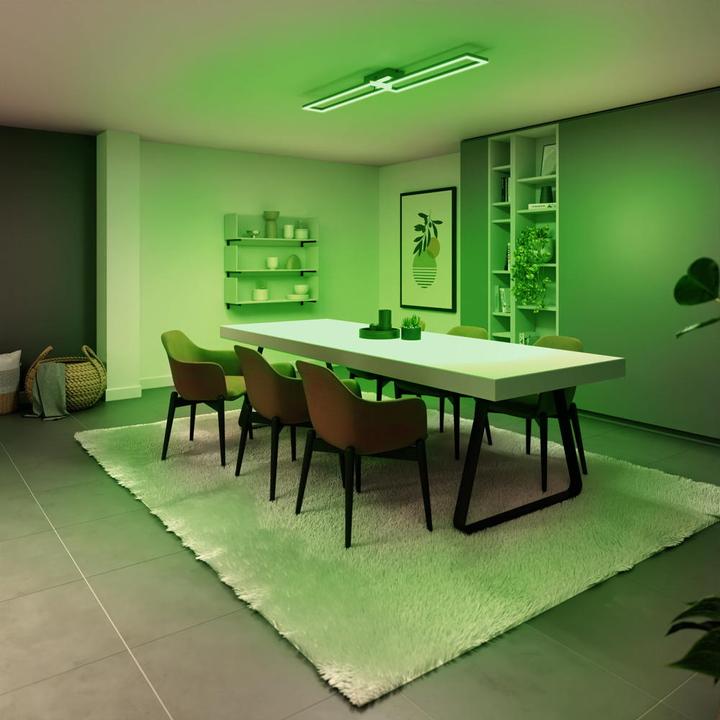 Actual product image Tint Smart Zigbee ceiling light Ciso (3000 lm)
