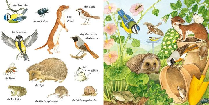 Immagine prodotto Mein kleines buntes Bildwörterbuch: Tiere im Park und im Garten (Tedesco, Christine Henkel, 2024)