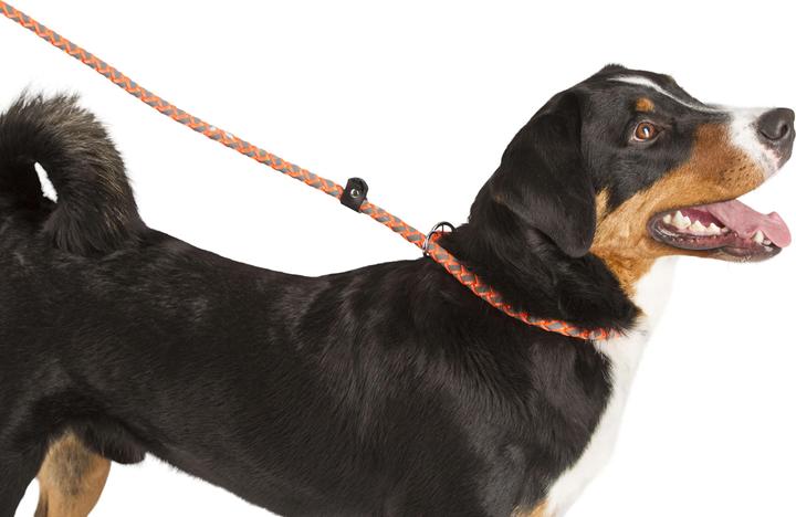 Actual product image Kerbl Maxi Safe slip line 170 cm x 12mm, neon orange (Dog, Dog sport)