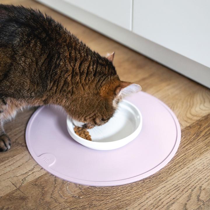 Actual product image LucyBalu BOWL Porzellan Katzennapf