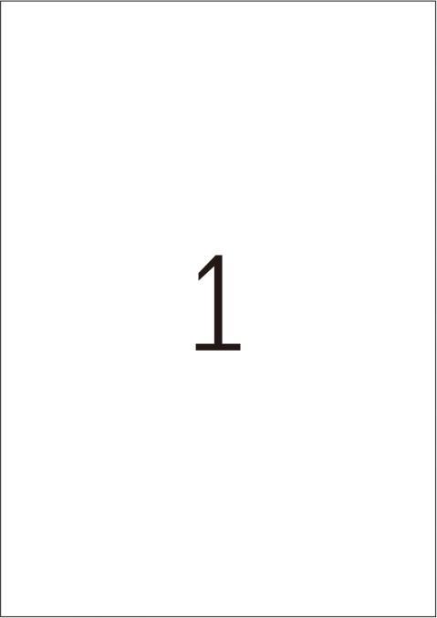 Actual product image HERMA Weatherproof labels A4